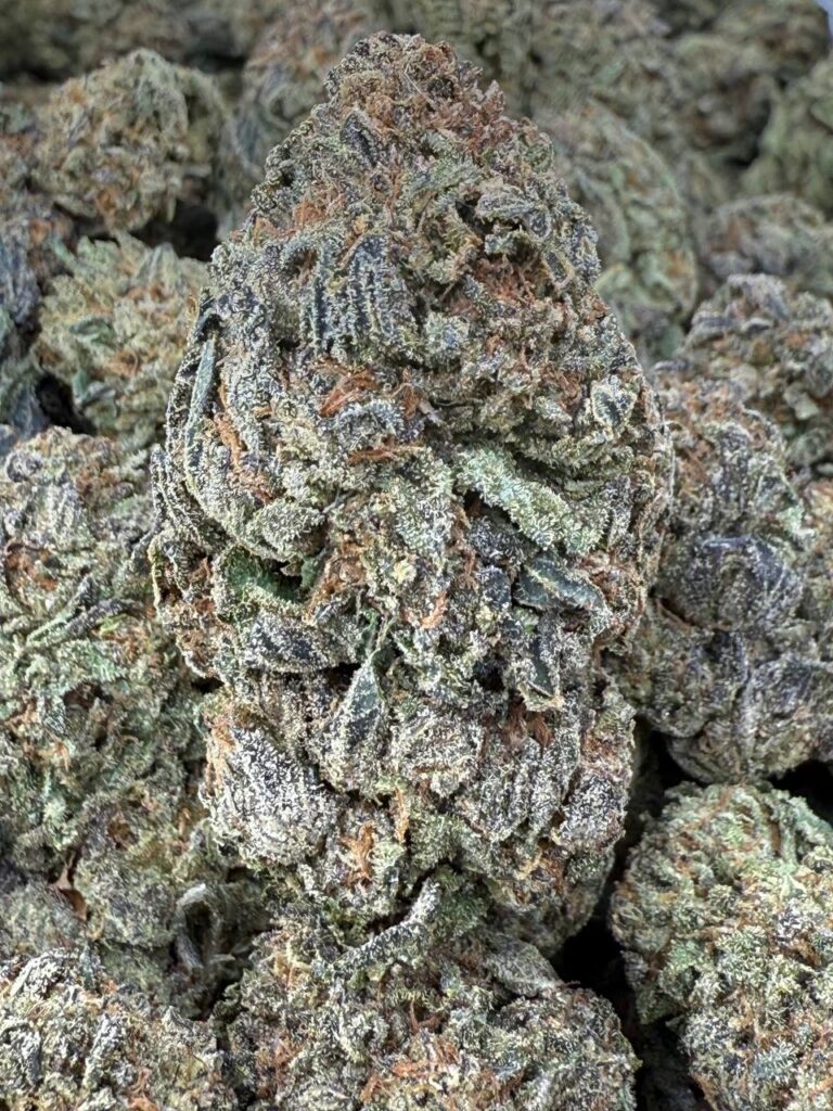 PURPLE OG