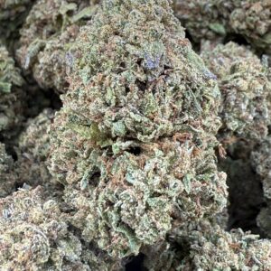 SUNSET GELATO