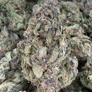 ANIMAL COOKIES